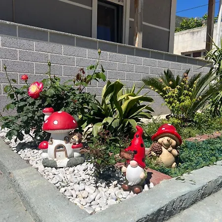 Qetesia ボルシュ