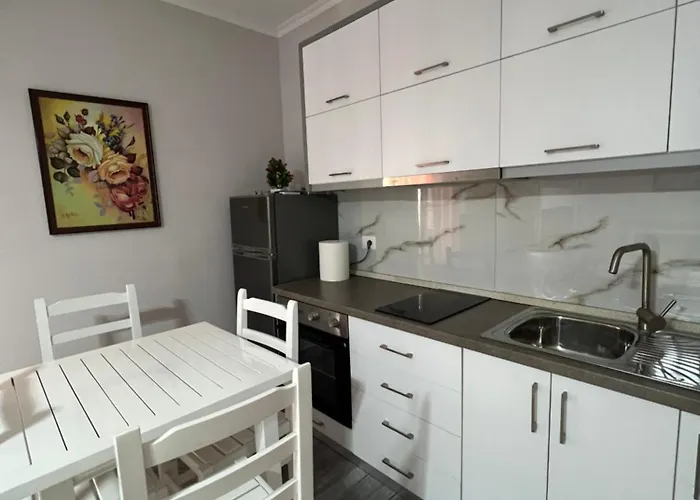 Qetesia ボルシュ