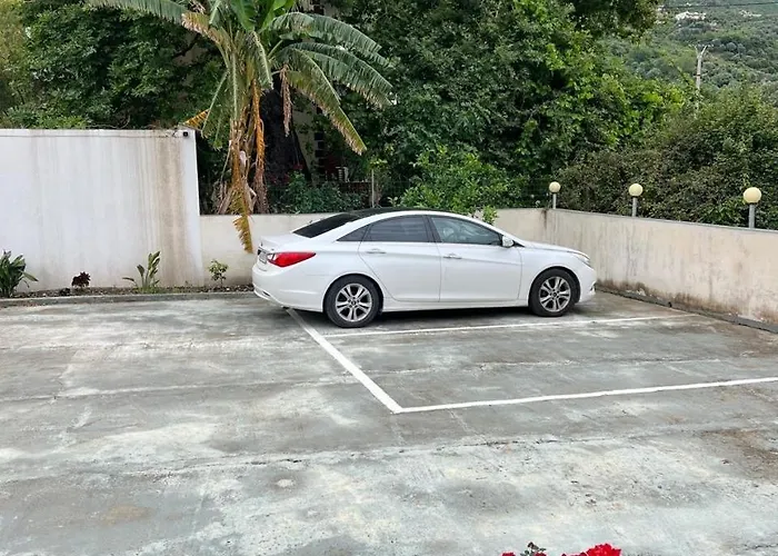 Qetesia * ボルシュ